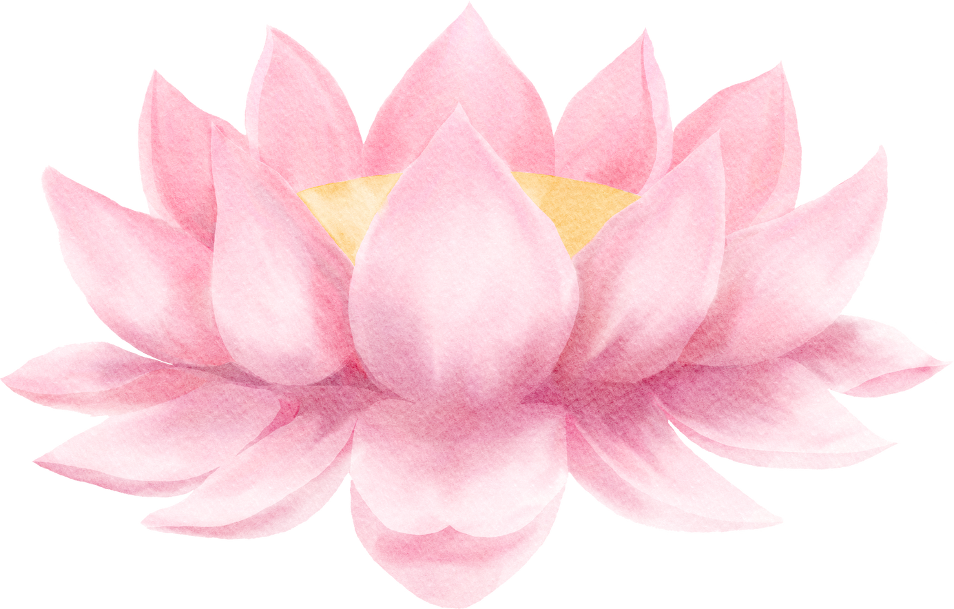 Watercolor Lotus Flower